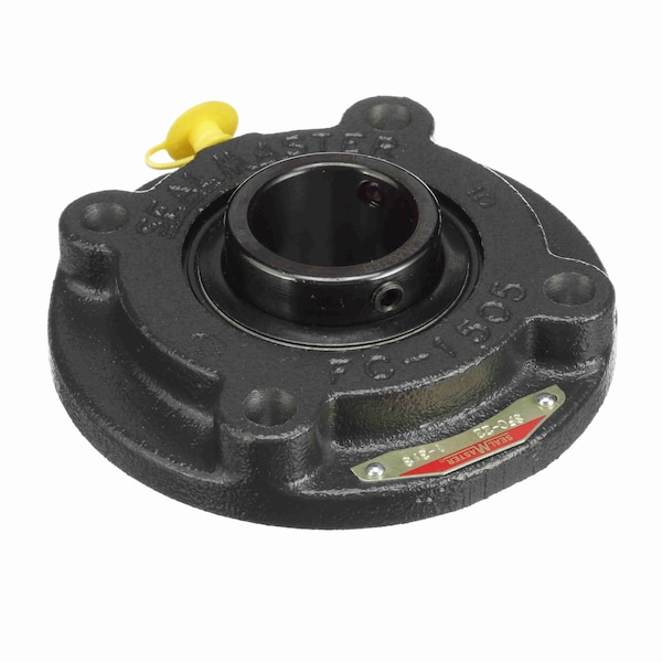 Mounted Cast Iron Flange Cartridge Ball Bearing, SFC-22